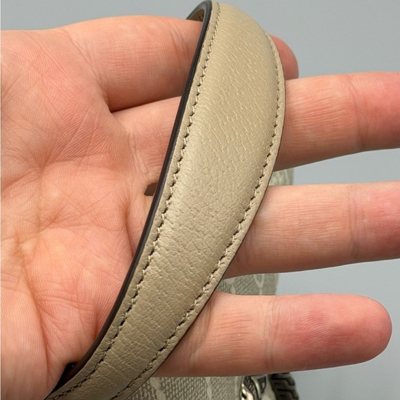 Gucci Eggshell Top Handle Dionysus with Chain - Picture 10 of 13